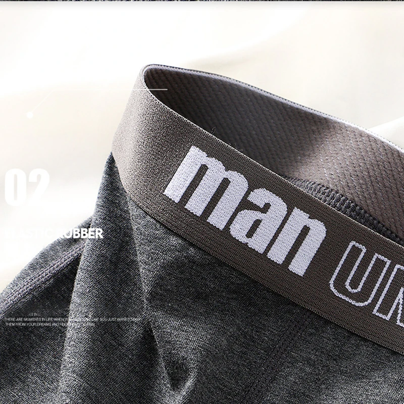 FK Underwear Men Boxers Men's Panties Graphene 3A Grade Antibacterial Underpants Pure Cotton Boxershorts Calzoncillos Homme