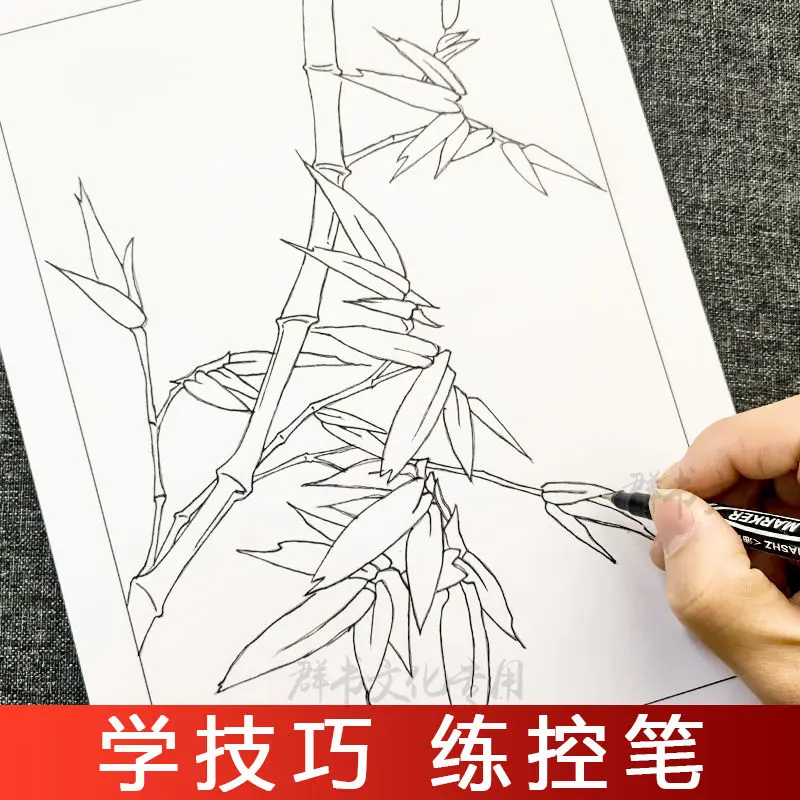 จิตรกรรมจีนแนะนำ Decomposition ทักษะวาดสำเนาหนังสือภาพวาด Plum Orchid ไม้ไผ่ Chrysanthemum สี Boo