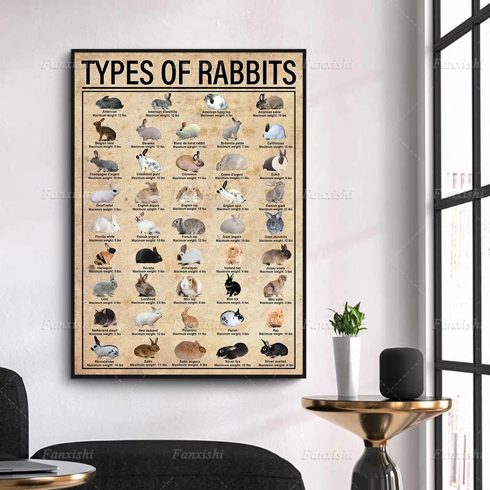 

Home Decor Poster Wall Art Types Of Rabbit Canvas Prints Painting Pictures For Living Room Bedroom Modular Nordic Vintage Poster