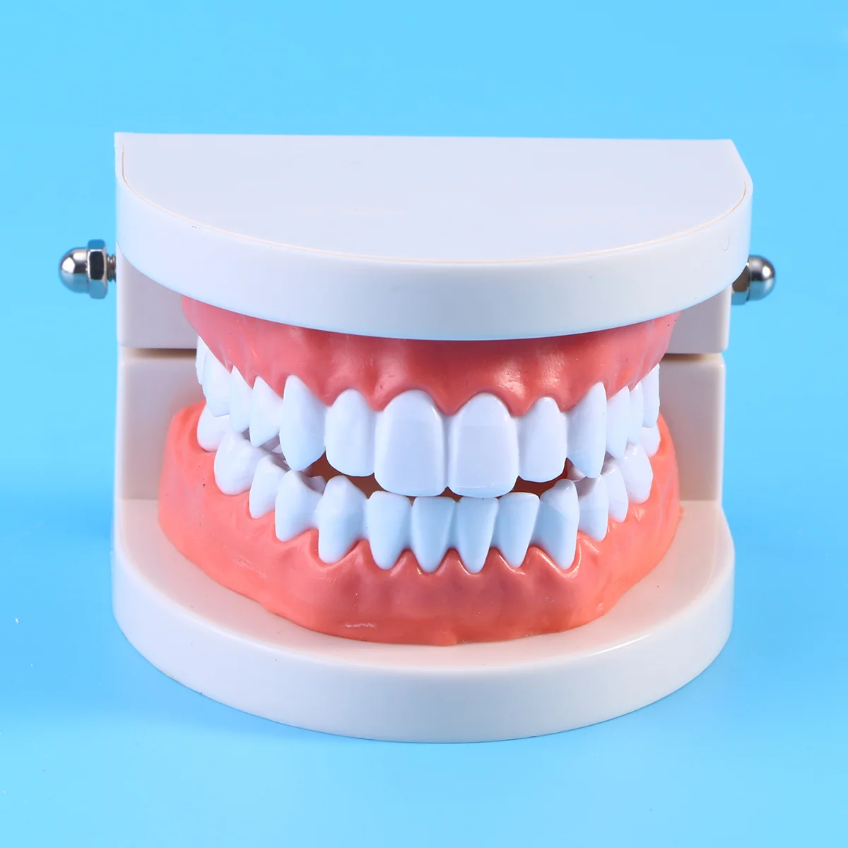 

Модель для обучения зубам, поддельные модели для орального рота для детей, демонстрационный анализ, стандартное обучение, типоне, чистящие ...