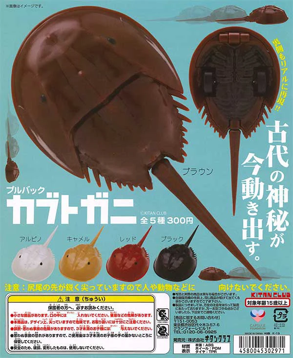 

Japan Kitan Gashapon Capsule Toy Three-horned Horseshoe Crab Pulling Back Car Animal Decoration Curious Desk Model Figure