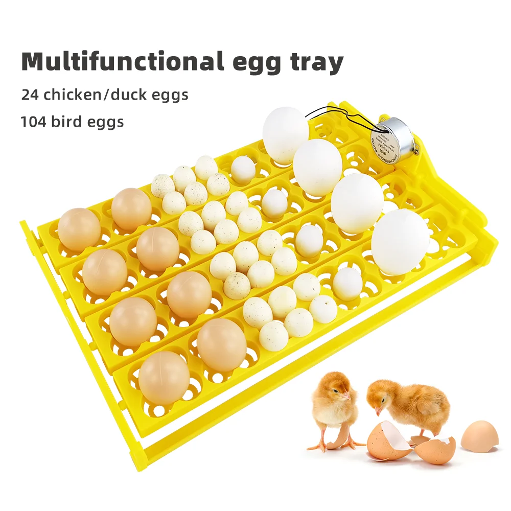 

110V/220V/12V Turning Egg Tray Automatic Small Household Incubator Uniform Heating Chicken Duck Bird Eggs Incubation Equipment