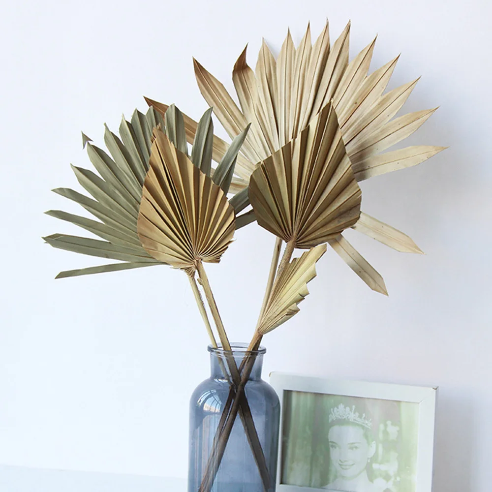 1PC Mini Palm Fan Leaf Dried Flower Palm Leaves Pampas Grasses Branches Diy Wedding Decorations Home Decor Craft