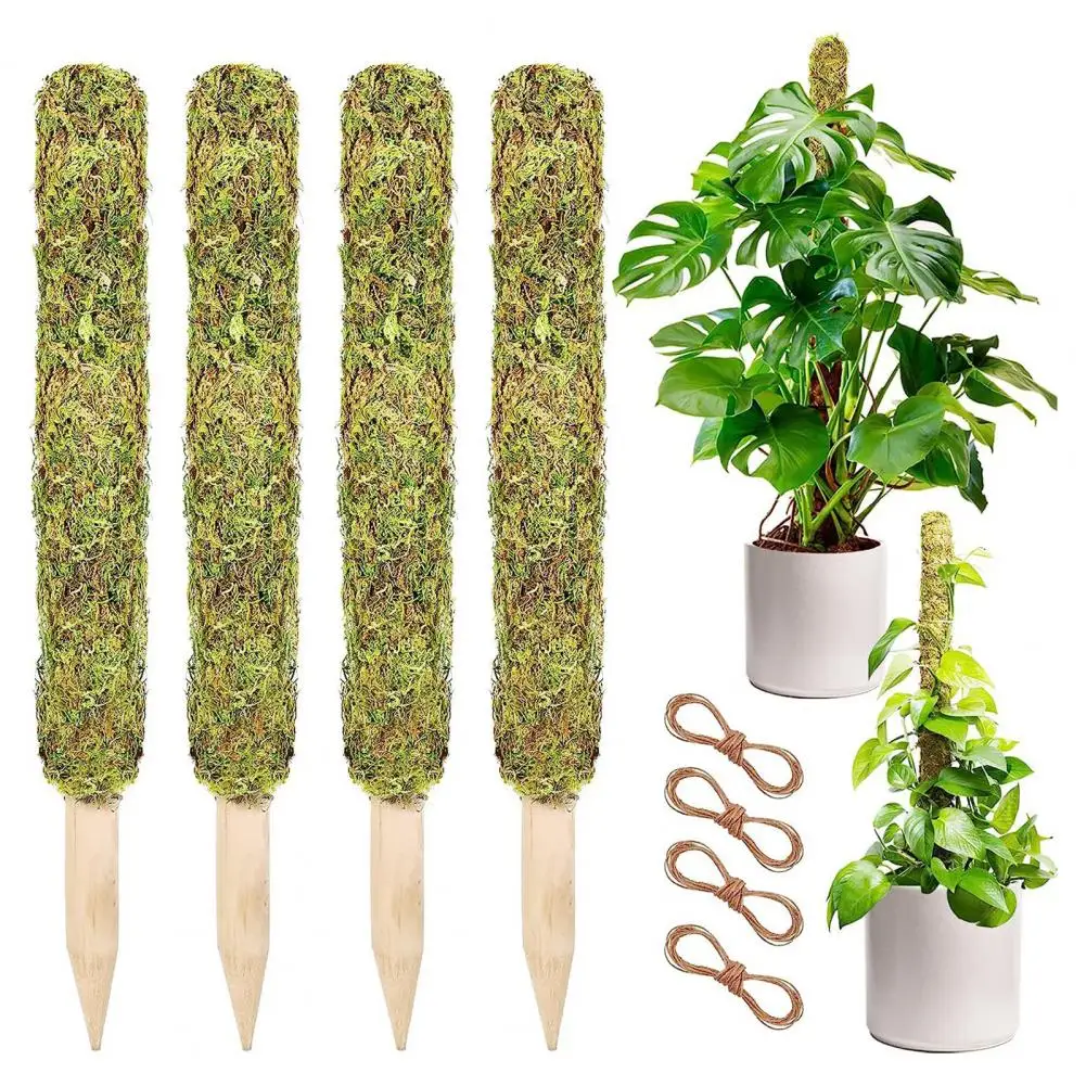 

Plant Grow Stake with 2m Hemp Rope Good Support Effect Easy to Install Slim DIY Shape Bendable Coir Moss Stick for Indoor Plants