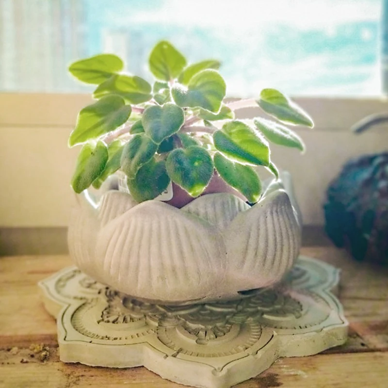 

3D Lotus Gypsum Flower Pot Mold Round Candle Jar Silicone Mold Handmade Jewelry Storage Box Making Concrete Candle Jar Planter