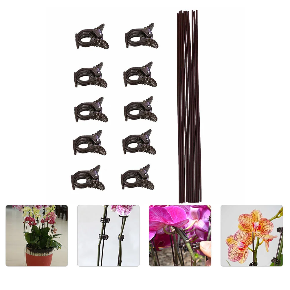 

Clips Support Garden Orchid Flower Clip Climbing Fixing Trellis Stakes Gardening Fixed Pot Set Stem Iron Clamps Ties Vine Metal