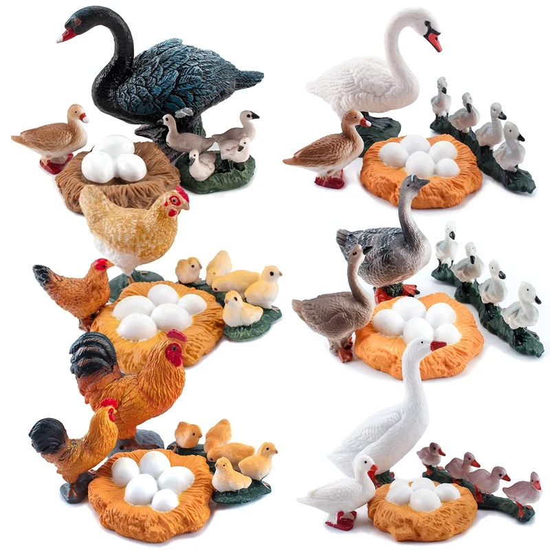 

24 PCS Farm Animal Life Cycle Model Figure Rooster Duck Goose Hen Swan Models Simulation Growth Educational Toys