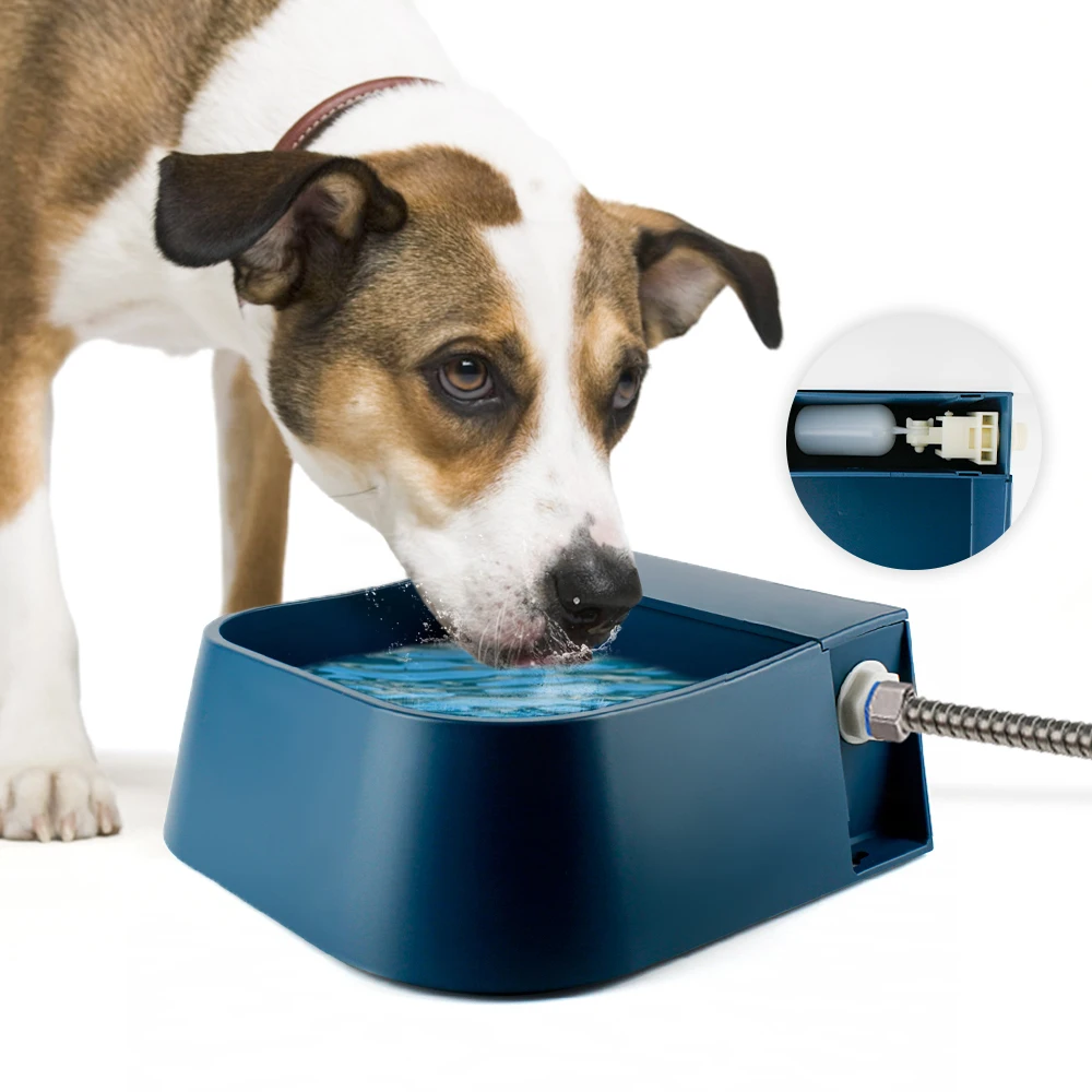 

Automatic Dog Water with Float Valve for Dog/ Cat/ Chicken Outdoor Bowl 2L Blue