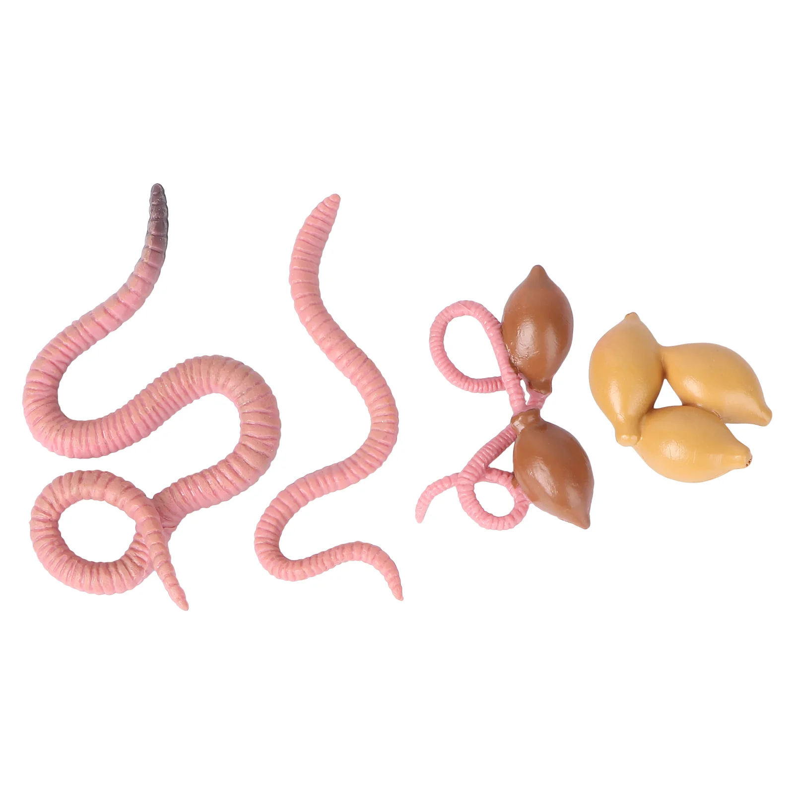 

4 шт., Детские модели земляных червей