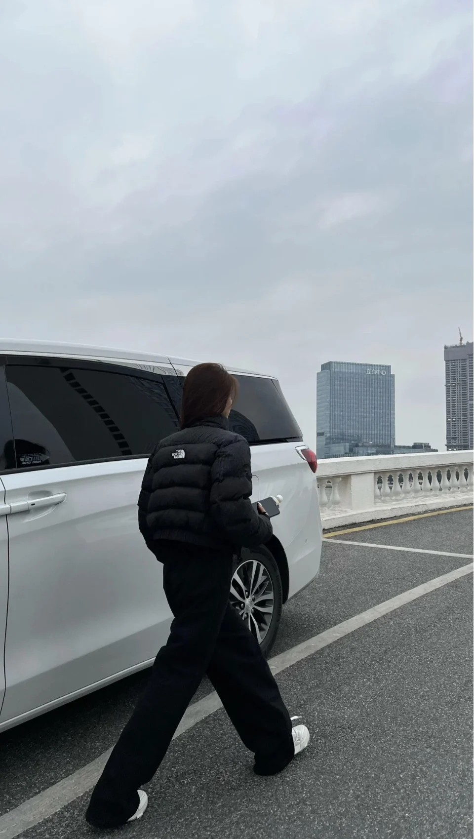 Пуховик The North Face ветрозащитный против пятен Тонкая посадка Зимняя утепленная