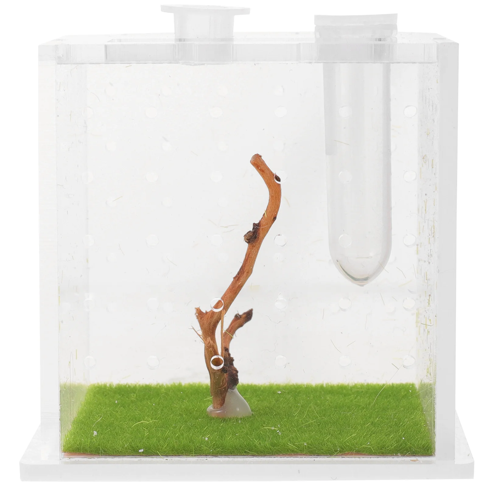 

Transparent Multi-function Clear Design Jumping Spider Box Acrylic Box for Snail Spider Home