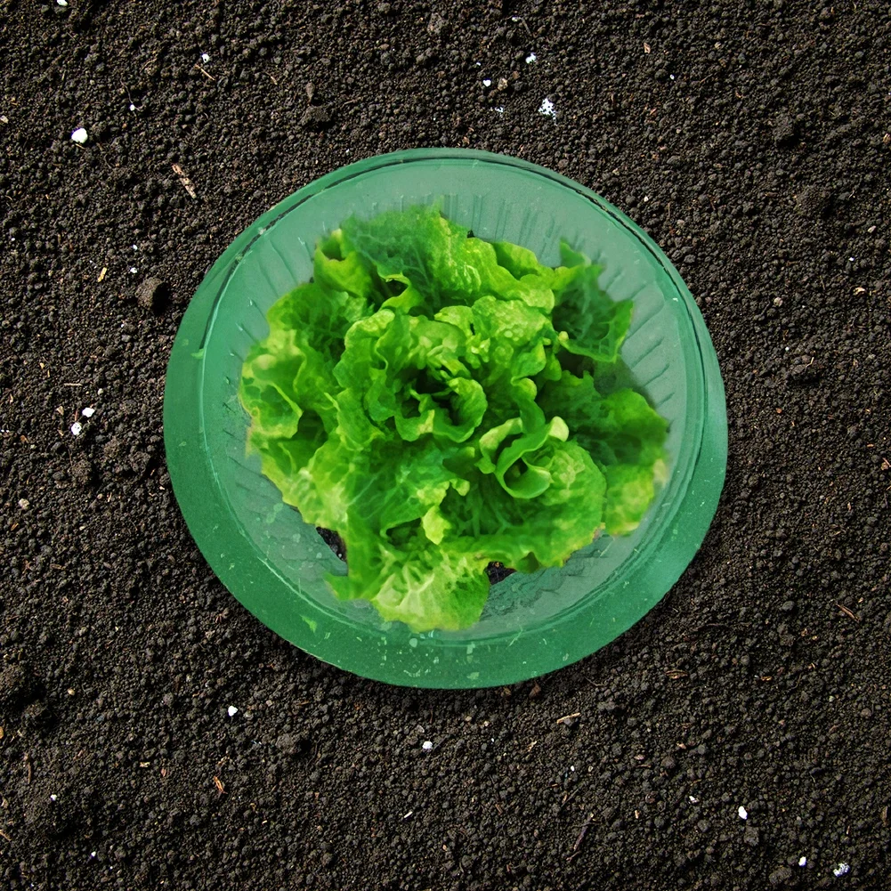 Apwikoger Защитные Кольца Для Растений Дизайн Ракушки Улитки Садовый Инструмент