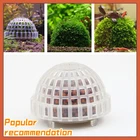 Натуральный флуоресцентный фильтр для аквариума, Красный домик для креветок, украшение для аквариума, минеральные шарики