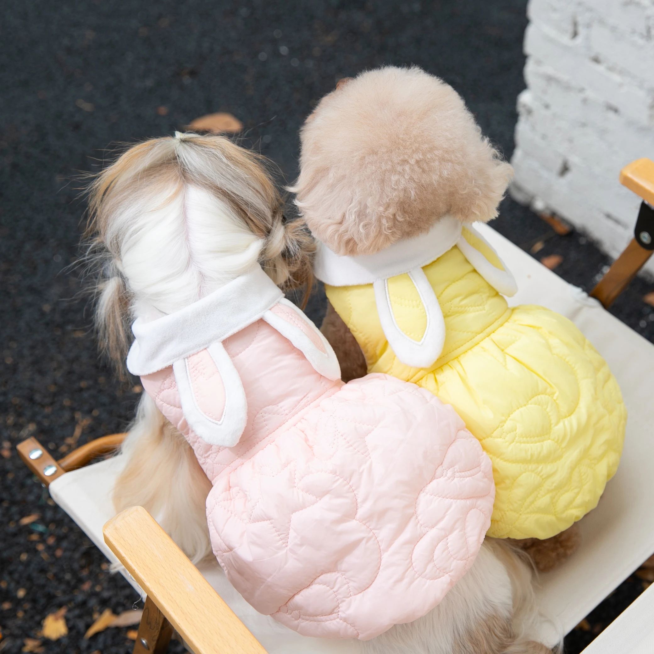 

Новинка Осень-Зима Одежда для домашних животных плюшевая в клетку хлопковая одежда теплая бархатная юбка одежда для кошек и собак пальто Ро...