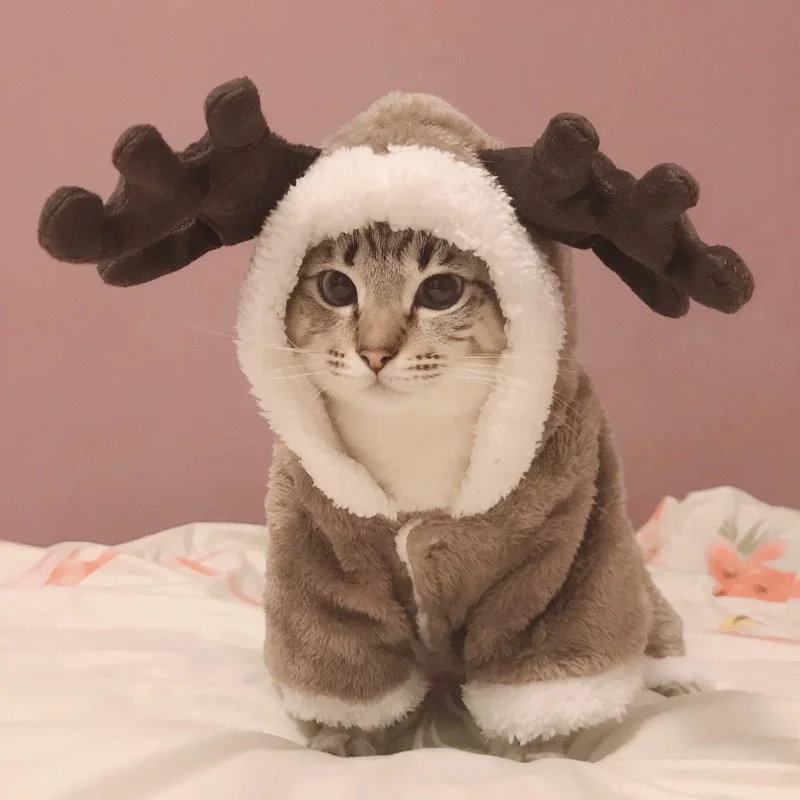 Winter Cat Clothes Warm Fleece Pet Costumes for Small Cats Kitten Jumpsuits Clothing Cat Coat Jackets Pets Dog Cat Clothes Funny