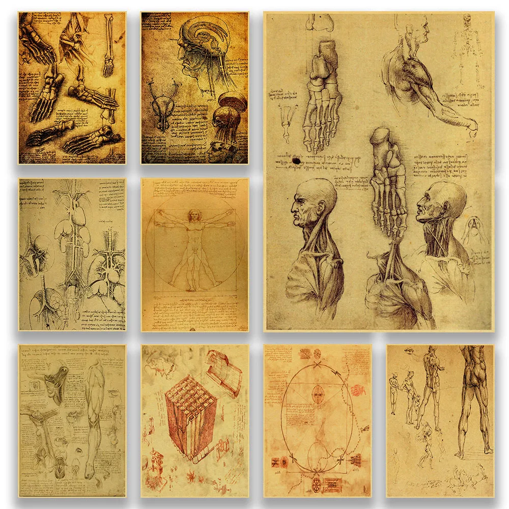 

Da Vinci Figure Human Sketch Collection Kraft Paper Prints High Quality Art Painting for Home Room Decoration Wall Stickers