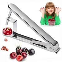 portable hand press fruit cherry corer handheld corer food core remover pit removal device restaurants stainless steel gadgets
