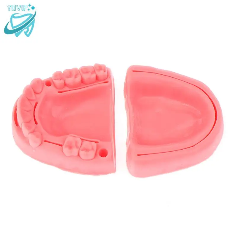 

1pc Dental Oral/Gum suture training module silicone periodontitis suture model