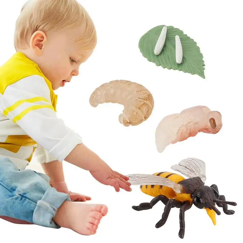

Модель жизненного цикла, модель цикла роста существ, детские научные Обучающие игрушки, отлично подходит для обучения, топперы для тортов, мешок для гусинок