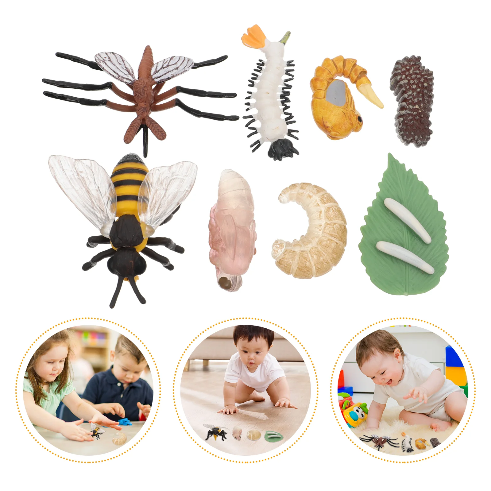 

Life Cycle Yle Models Figure Model Statuefake Goh Ogcognitive Kids Figurinefly Figurines Growth Animals Figuines Bugs
