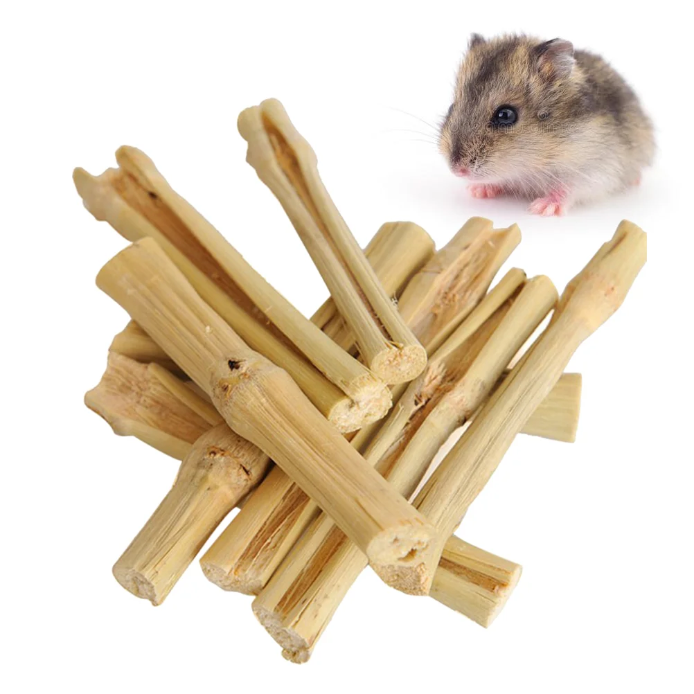 

Hamster Sticks Snacks Chew Toy Toysteeth Rabbit Molar Pet Guinea Stick Chewing Squirrels Teething Wood Treatchinchillas Rod