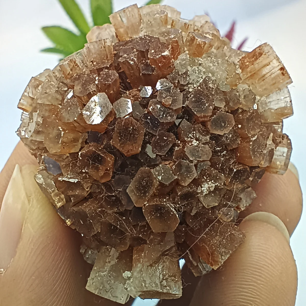 

NATURAL ARAGONITE CRYSTAL CLUSTER CRYSTAL ENERGY HEALING 40-60g
