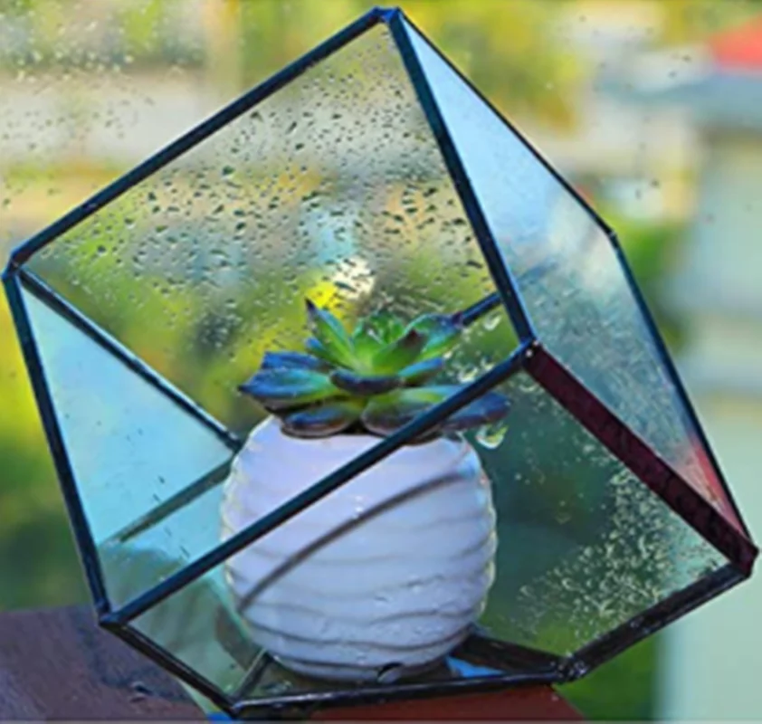 Современный стеклянный контейнер для хранения террариума прозрачный