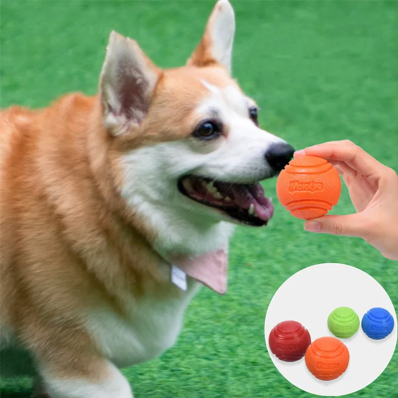 

Pet Dog Toy Ball Molar Teeth Bite-Resistant Dog Bouncing Ball Teddy Samoy Small and Medium-Sized Dog Rubber Training Games Toys