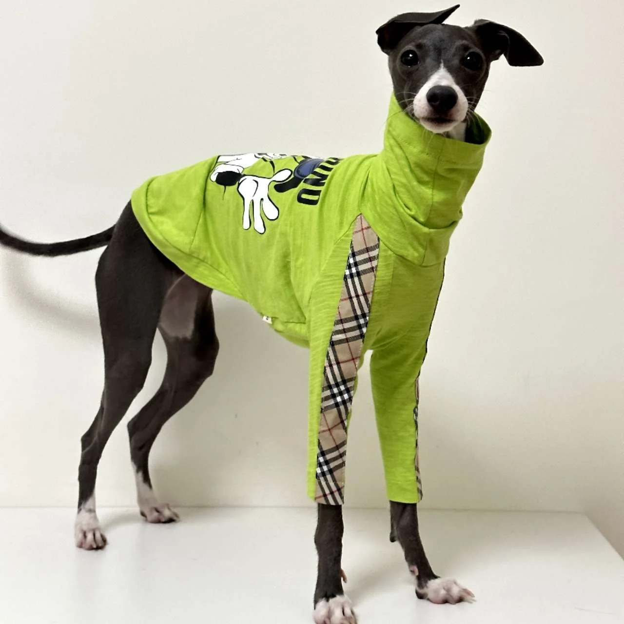 

Greyhound хлопковая футболка для больших собак, рубашка для спины, кнут, круглая эластичная флисовая жилетка, свитер для домашнего питомца пальто для маленьких искусств