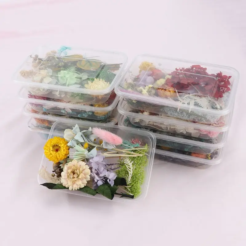 

1 Box Real Mix Dried Flowers for Resin Jewellery Dry Plants DIY Pressed Flower