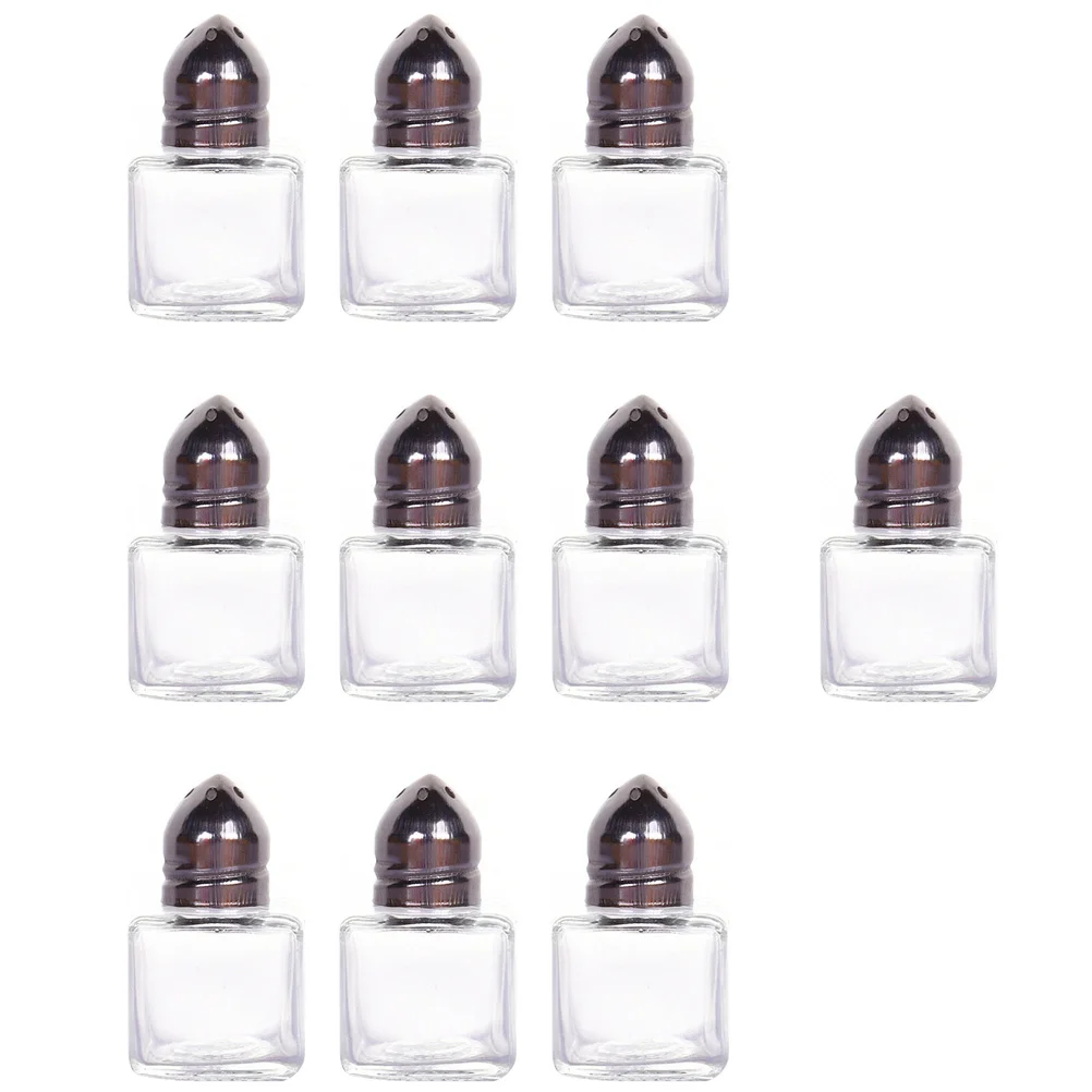 

10 Pcs Small Terrarium Salt Shakers Transparent Glass Containers Lids Mini Seasoning Pot Bracket Spice Jar