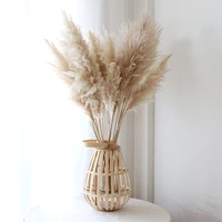 premium 40pcslot dried pampas grass bouquet natural fluffy pampa for boho home decor wedding decoration diy plants