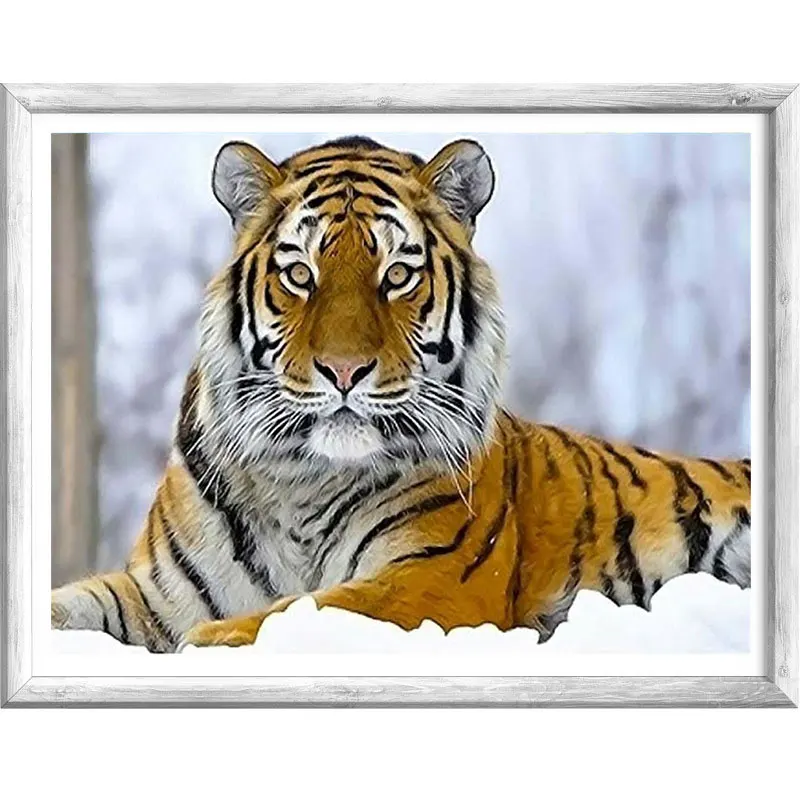

Алмазная живопись 5D в форме тигра, картина «сделай сам» с животными, тигром, лежа в бриллианте, квадратная, круглая, вышивка крестиком, домашний декор