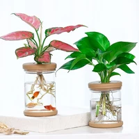 new transparent home decoration office ornaments plant flower pot flower arrangement plastic vase hydroponic vase