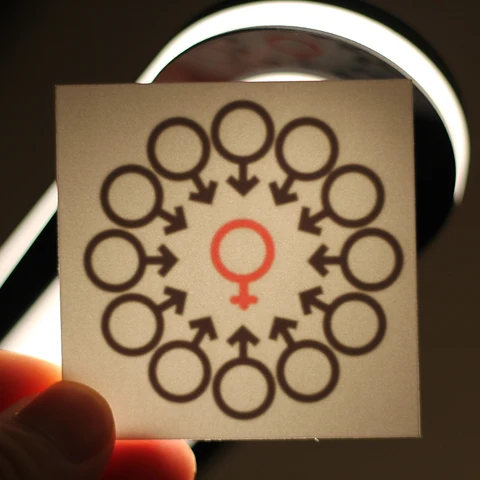 Shafqatsiz ogriqli jinsiy aloqa