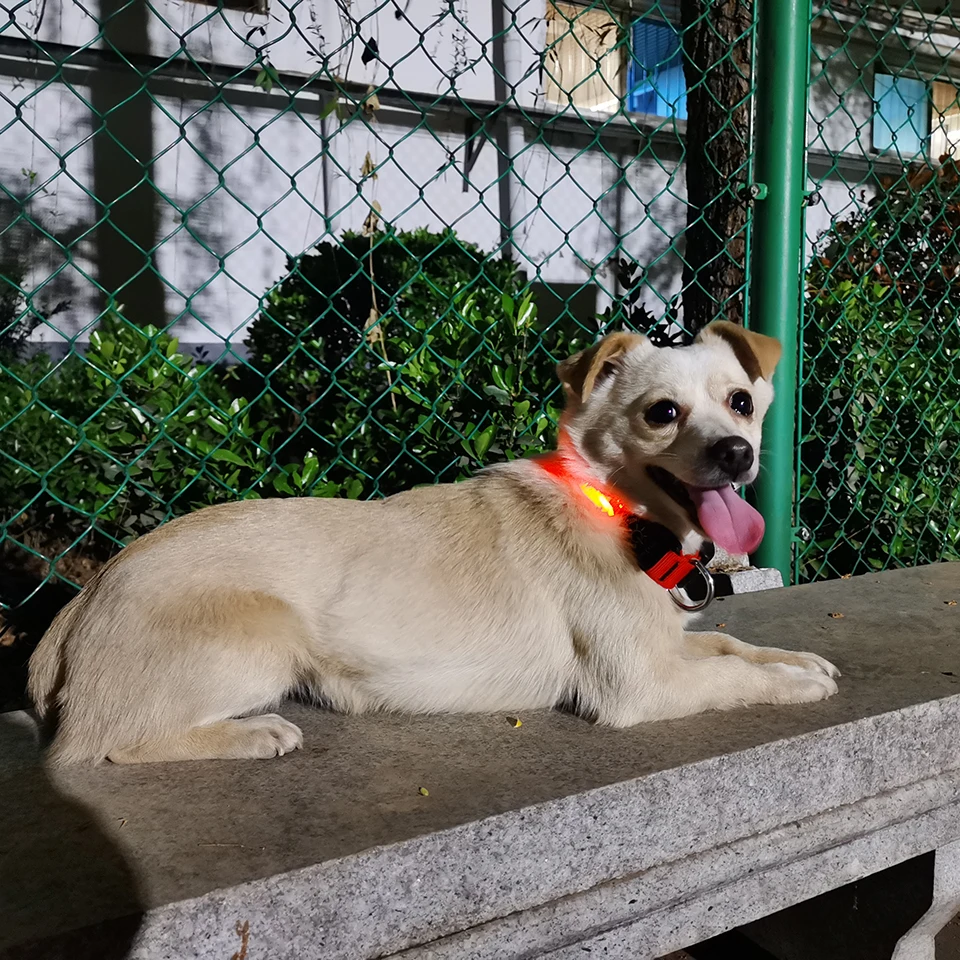 

Набор поводков для собак, прочный тактический светодиодный ошейник Dawg в стиле милитари, для тяжелых условий эксплуатации, аксессуары для дрессировки немецкой овчарки