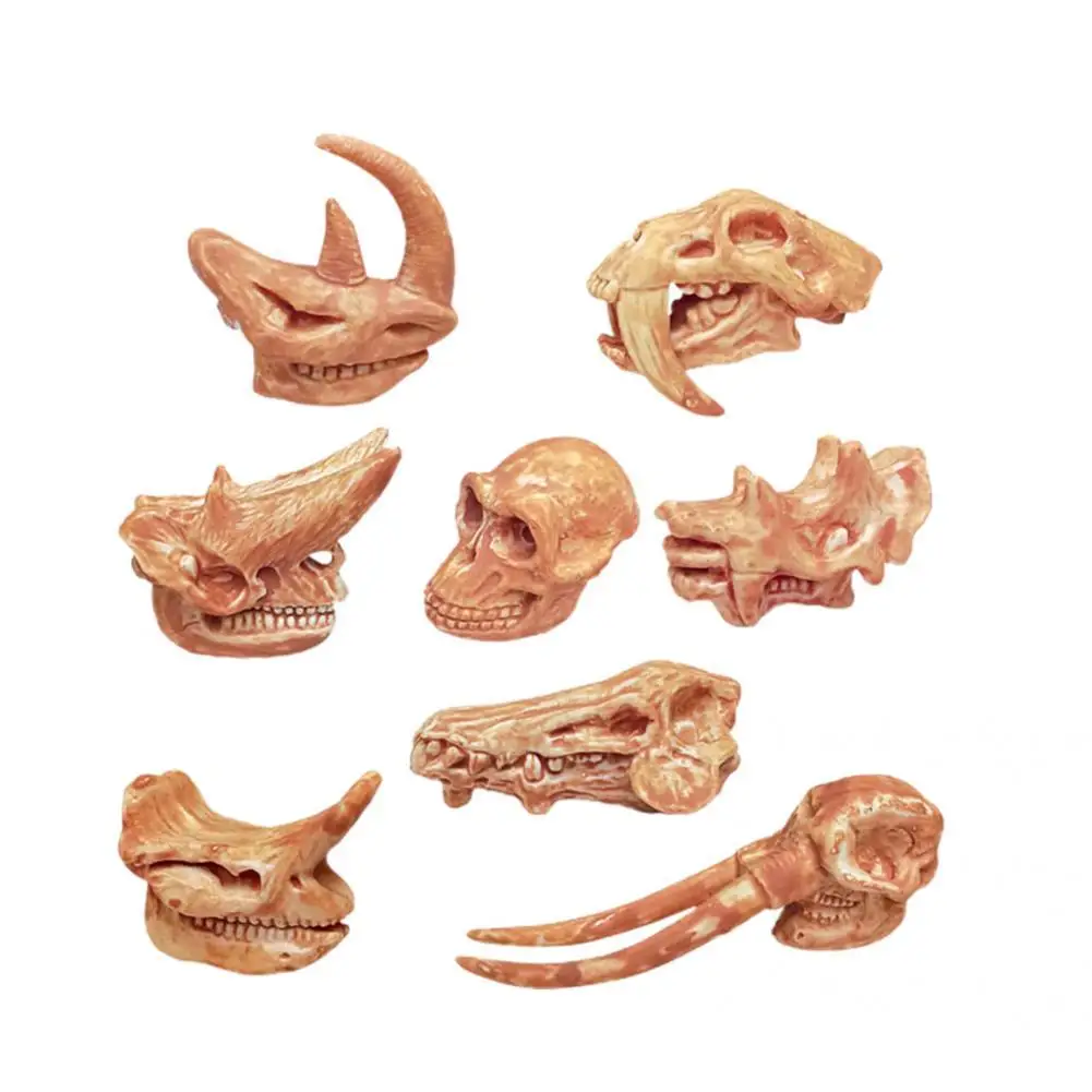 

Harmless High Simulation Halloween Decor Simulation Dinosaur Skull Model Decor Skeleton Model Dinosaur Skull