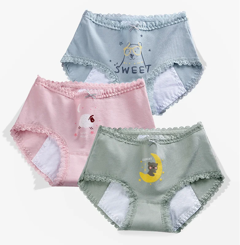 

6pcs Women Briefs Cotton Lingerie Woman Menstruation Underwear Ladies Menstrual Period Panties Leakproof Low Waist Panties