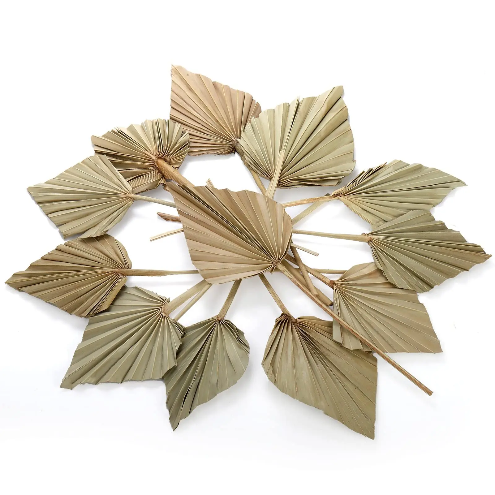 

Natural Dried Palm Leaves, Boho Tropical Dried Palm Fans Leaf Decor for Vase,Bohe Wedding Flowers Decoration for Party Home Wall