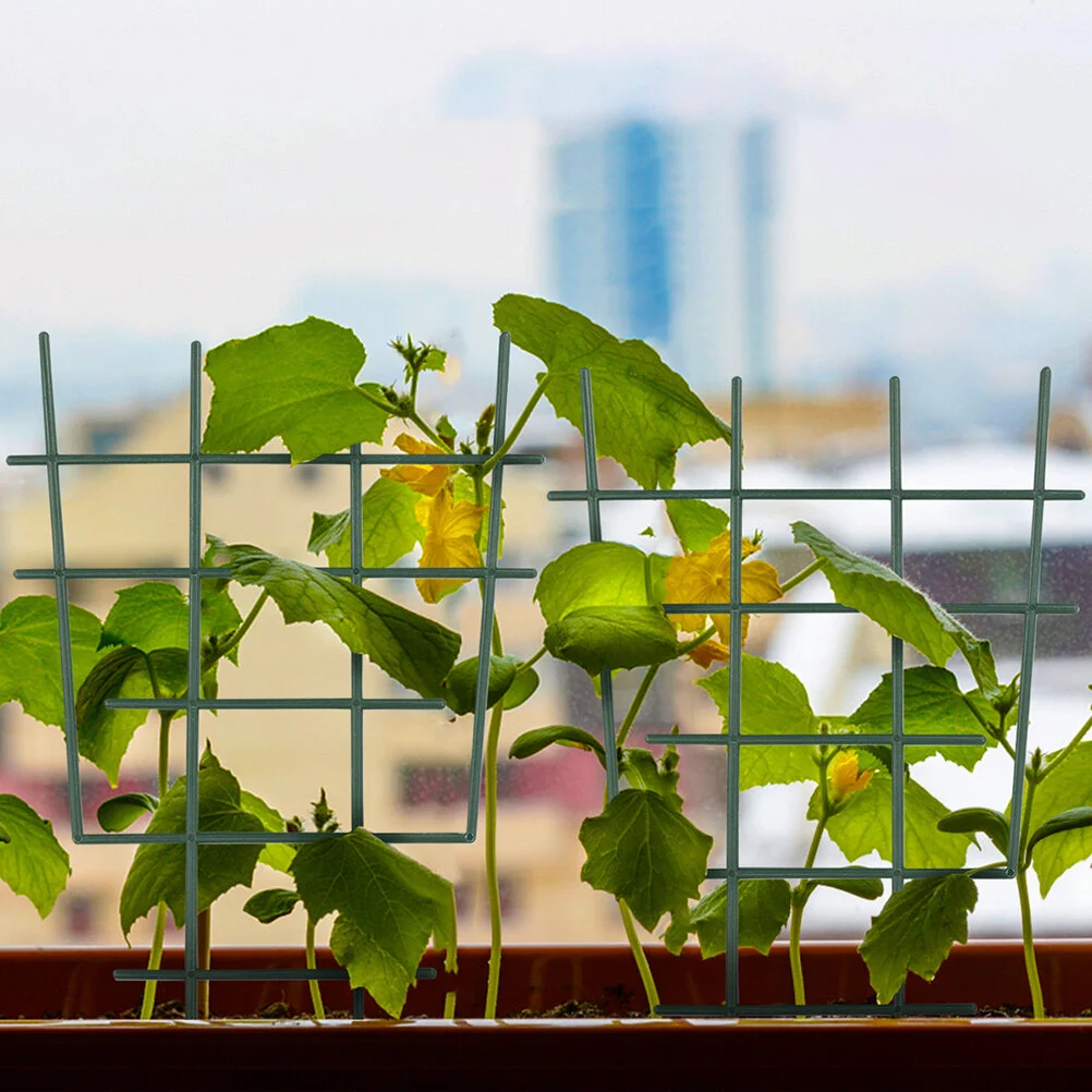 

4 Pcs Planter Cages Supports Orchid Climbing Rack Indoor Plants Garden Supplies Stake Stand Houseplants Live Display Frame