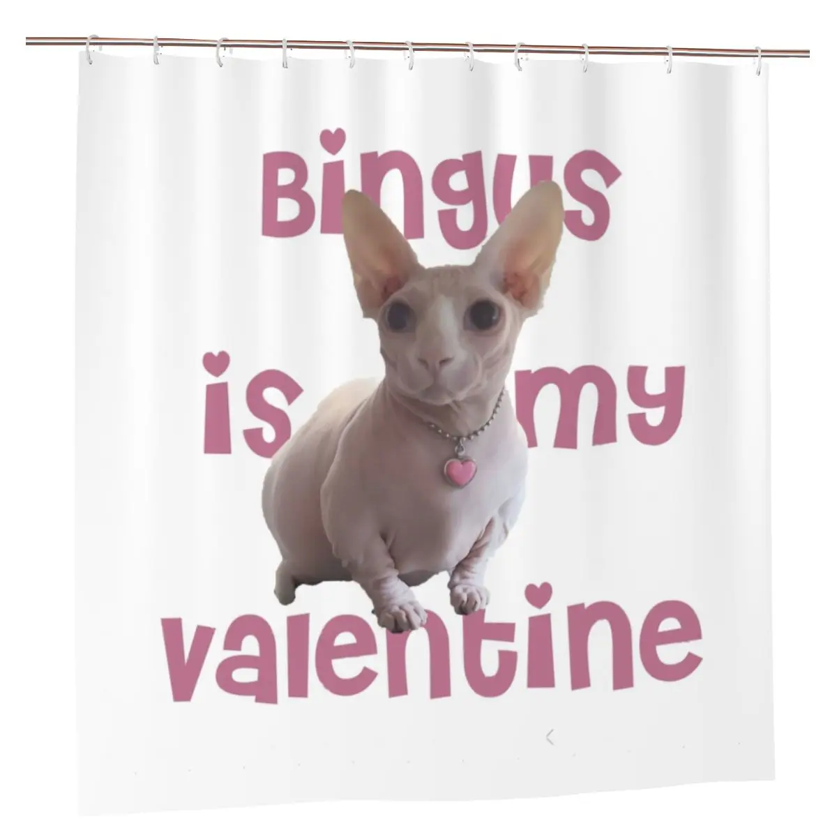 

Bingus Cat Shower Curtains Sphynx Bath Personality Bath Curtain with Hooks