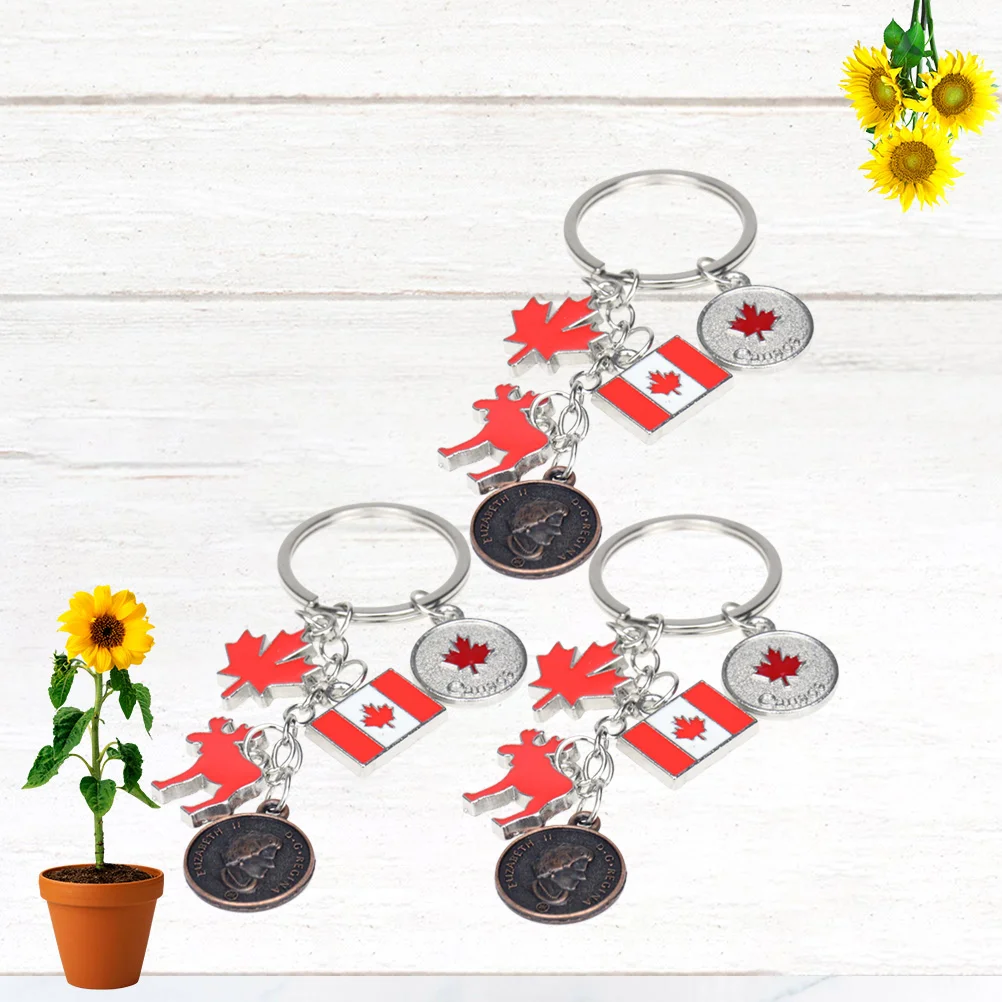 3 шт. брелок для ключей семьи с национальным флагом коллег декоративный керамов