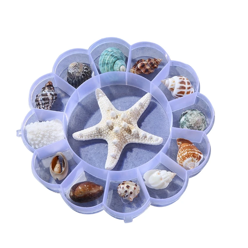 

N58F Shell Material Handmade Conch Starfish Specimen Gift Box Children Marine Biology Science Kindergarten Gift