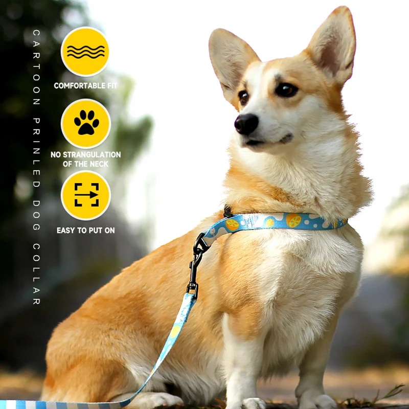 

Декоративный поводок для собак, декоративный поводок для кошек и собак, для прогулок на открытом воздухе