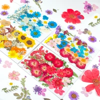 dried flowers natural flower stickers resin mold fillings uv epoxy flower for nail art pressed flowers for home decor handicraft