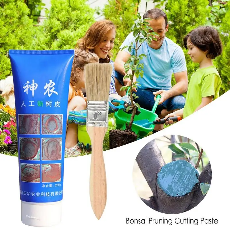 

Tree Pruning Sealer Tree Wound Sealer And Grafting Accessories Plant Wound Bonsai Cut Paste Compound Sealer With Brush