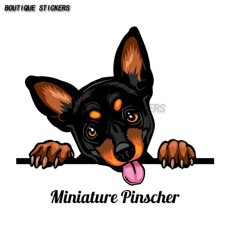 

Pet Dog Pinscher Car Sticker Waterproof PVC Sticker Car Decoration Accessories Luggage Case Laptop Sticker Cover Scratches