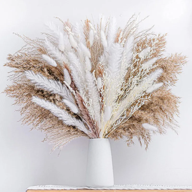 

Boho Home Decor Pompous Grass 80Pcs Natural Dried Fluffy Pampas Grass Bouquet Set Large Reed Bunny Tail Wheat Stalk Decorative