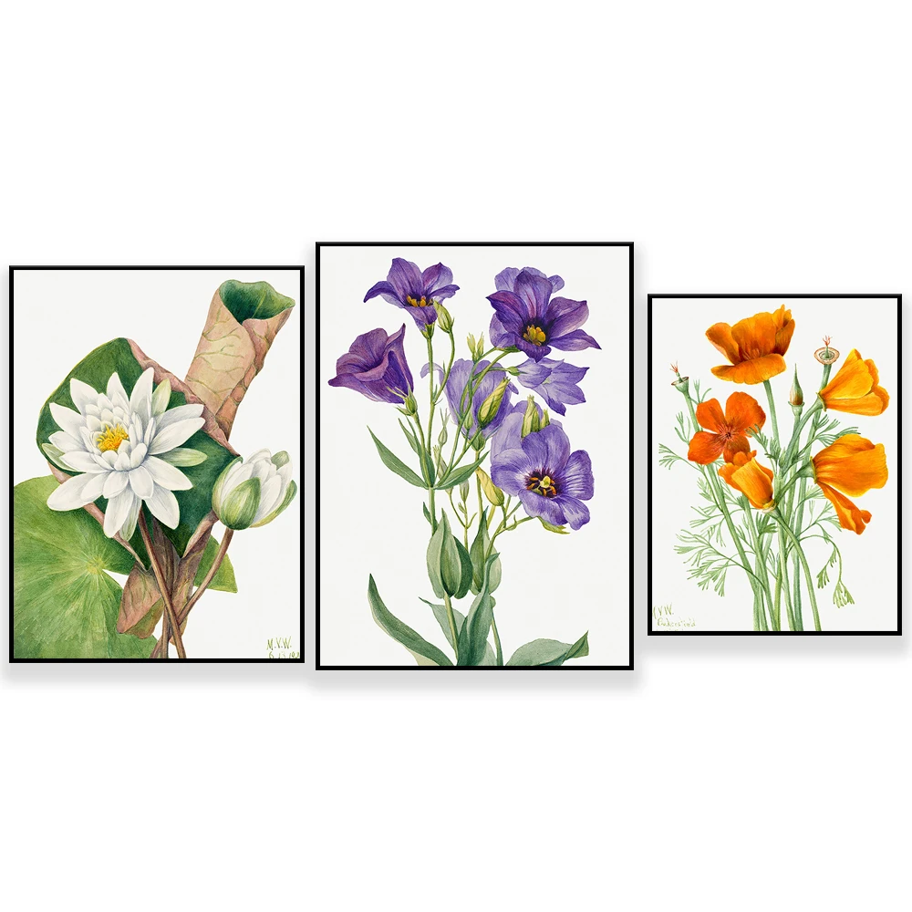 Печать на холсте &quotМак Цветок&quot ReachMani