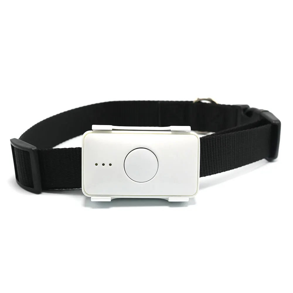 

GPS Tracking For Dog Cat Real-time Health Monitoring 4G LTE Pet Tracker LK105B-4G With Free APP And Platform Device